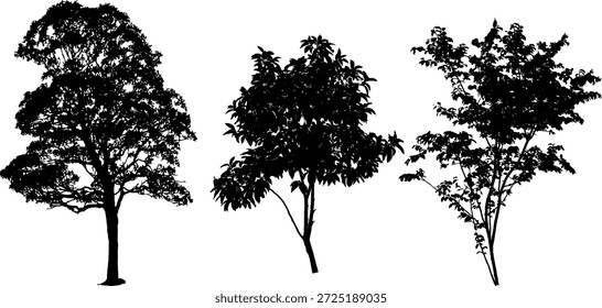 Coleção de três silhuetas de árvore realistas com folhas detalhadas e ramos. Árvores de vetor preto de alta qualidade isoladas sobre fundo branco. Perfeito para renderização arquitetônica, design de paisagem