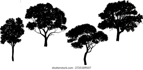 Coleção de três silhuetas de árvore realistas com folhas detalhadas e ramos. Árvores de vetor preto de alta qualidade isoladas sobre fundo branco. Perfeito para renderização arquitetônica, design de paisagem