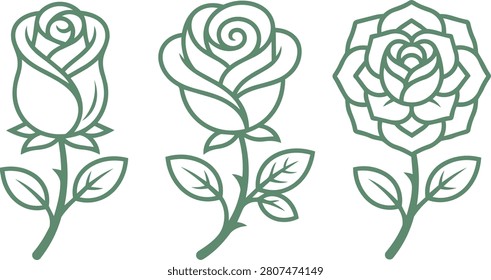 Collection three rose flower