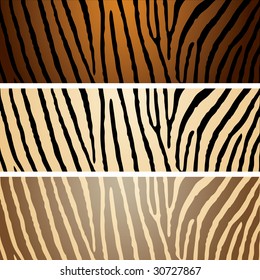 Collection of three zebra patterns with camouflage effect