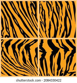 Collection with tiger skin pattern and texture, vector illustration and flat design.
