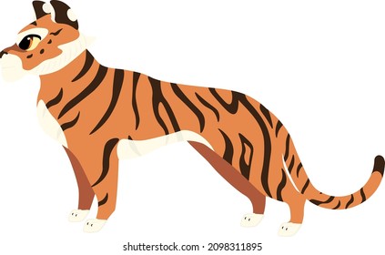 Collection of tiger's illustrations  with brown stripes and big eyes in different poses