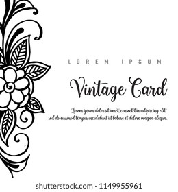 Collection tmeplate floral vintage card vector illustration