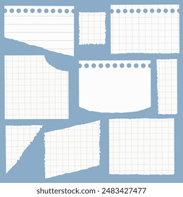 Collection of torn notebook sheets, math notes, notes, pieces of squared paper, scraps. Vector isolates.