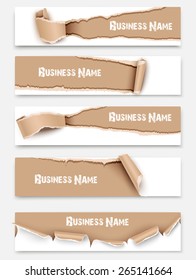 Collection torn paper banners isolated. Vector illustration