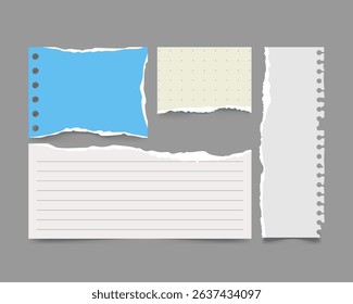 Collection of torn paper pieces in different paper types and textures. Includes notebook paper, plain sheets, and scrap-style fragments.