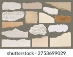 A collection of torn paper pieces, featuring various textures and colors. Torn paper with text, blank torn paper, and ripped edges. Perfect for scrapbooking or design. Element vector set.