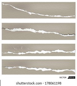 Collection of torn paper, vector illustration