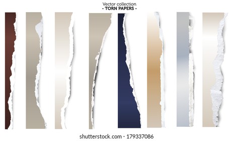 Collection of torn papers on white background, vector