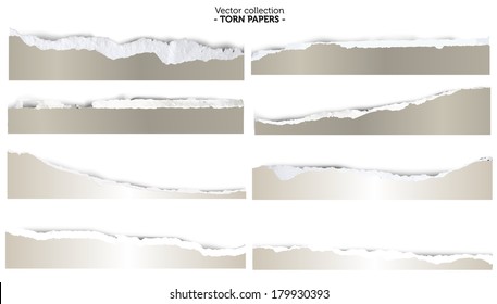 Collection of torn papers on white background, vector