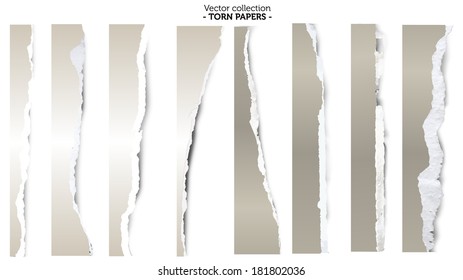 Collection of torn papers on white background, vector