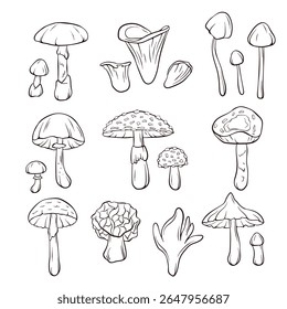 Collection of toxic mushroom in line art style with fly agaric, angel wing and other. Perfect for coloring page, education poster and botanical theme on white background.