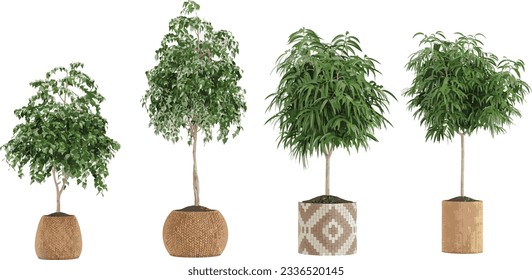 Collection of Transparent Plant Art, Stunning Cut-Out Plant Images transparency backgrounds for illustration, digital composition and architecture visualization