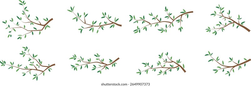 Collection of Tree Branches with Green Leaves Flat Style for Natural Botanical Decoration and Spring Design Projects