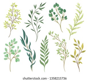 Collection of tree branches on white background.