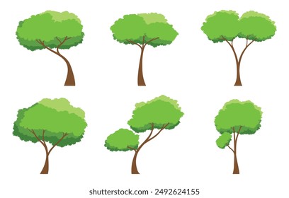 Colección de árbol aislado sobre un fondo blanco. Cada especie de árbol. Un árbol con hojas verdes. Temas de Naturaleza o estilo de vida saludable. Estilo de diseño plano de Ilustración vectorial