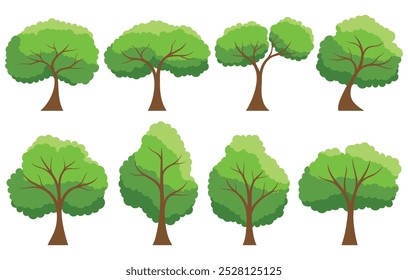 Colección de árbol aislado sobre un fondo blanco. Cada especie de árboles. Un árbol con hojas verdes. Naturaleza o temas de estilo de vida saludable. Estilo de diseño plano de Ilustración vectorial