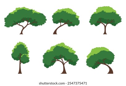 Collection of tree isolated on a white background. Each species of trees. A tree with green leaves. Nature or healthy lifestyle topics. Vector illustration flat design style