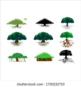 Collection tree Realistic on a white background.