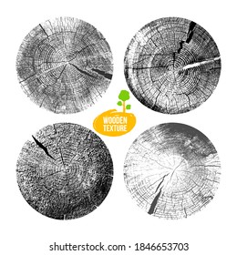 Collection of tree rings background. For your design conceptual graphics. Wood texture of a flat chopped cross section of cracked wooden stump. Showing age and years. Vector on white background.