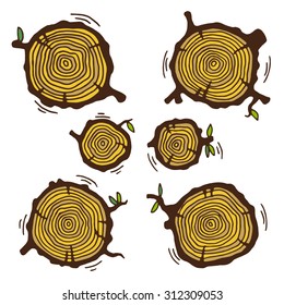 Collection of tree rings. Cross section of tree.