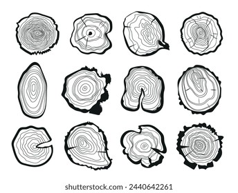 Collection of tree rings. Tree rings and cutting a tree trunk. Vector graphics.