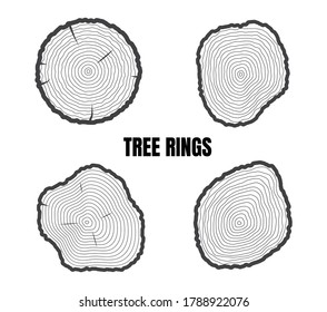 Collection of tree rings isolated on white background - Vector illustration