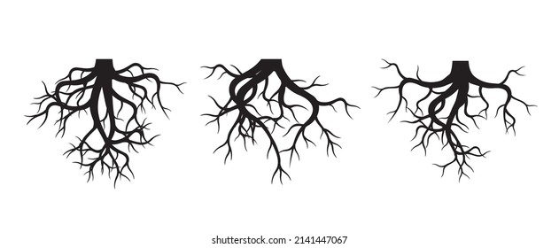 Collection of Tree Roots. Vector outline Illustration. Plant in Garden.