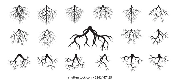 Collection of Tree Roots. Vector outline Illustration. Plant in Garden.