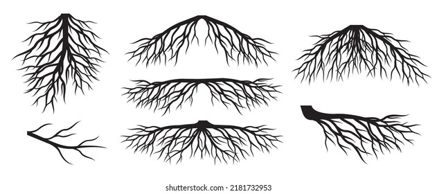 Collection of Tree Roots. Vector outline Illustration. Plant in Garden.