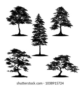 Collection  tree silhouette isolated on white background.