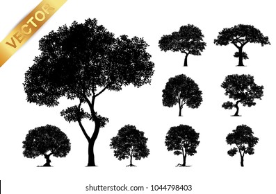 Collection  tree silhouette isolated on white background.
