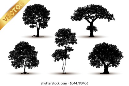 Collection  tree silhouette isolated on white background.
