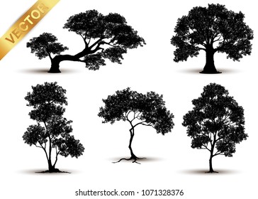 Collection  tree silhouette isolated on white background.