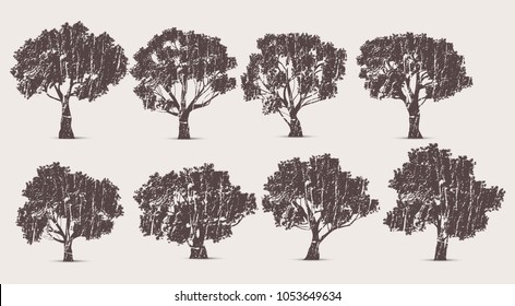 Collection of tree silhouette on the style vintage