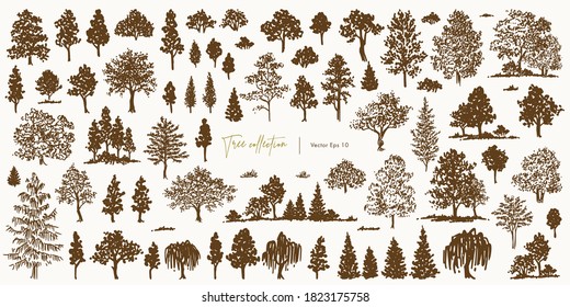 Collection of tree silhouettes. Hand drawn vector illustration