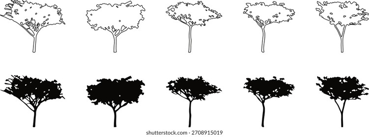 Collection of tree silhouettes and outline variations in multiple styles. Minimal line drawings and bold solid shapes offer versatile design options. Ideal for nature graphics, branding, 