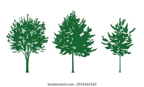 Collection of tree silhouettes. Set of elements isolated on white background. Realistic style.Vector illustration.