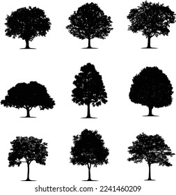 A collection of trees for artwork compositions and backgrounds