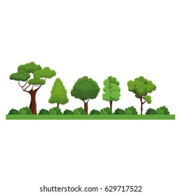 collection trees bush natural forest differents image