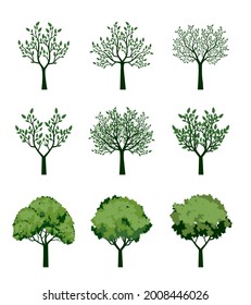 Collection of Trees with colour leaves. Vector outline Illustration. Plant in Garden.