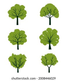 Collection of Trees with colour leaves. Vector outline Illustration. Plant in Garden.