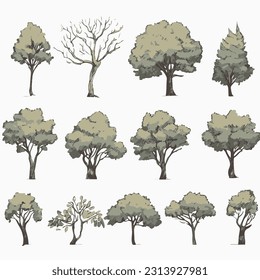 Collection of trees. Hand drawn vector illustration isolated on white background.