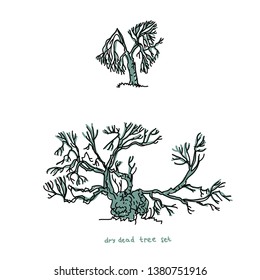 Collection of trees illustrations. Can be used to illustrate any nature or healthy lifestyle topic.
