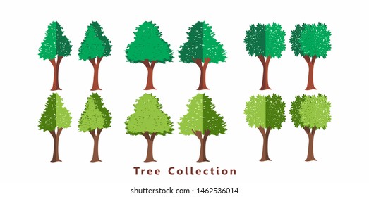Collection of trees illustrations. Can be used to illustrate any nature.