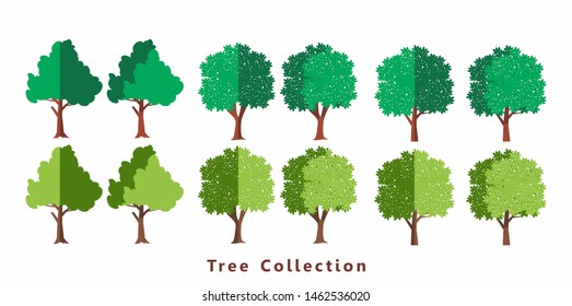 Collection of trees illustrations. Can be used to illustrate any nature.