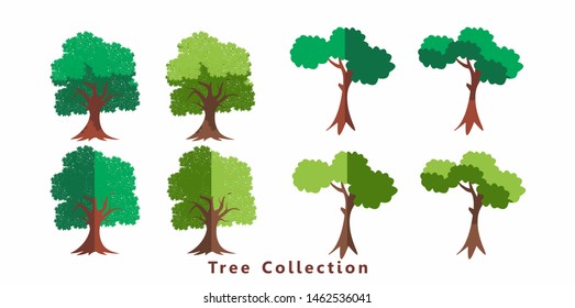 Collection of trees illustrations. Can be used to illustrate any nature.