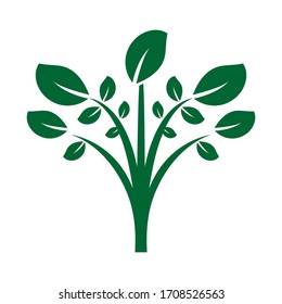 Collection of trees illustrations. Can be used to illustrate any nature or healthy lifestyle topic.