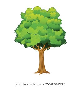 Collection of trees illustrations. Can be used to illustrate any nature or healthy lifestyle topic.