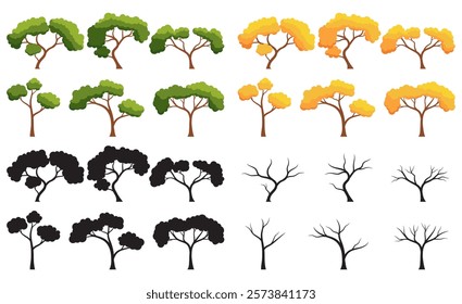 Collection of trees is isolated on a white background. Each species of trees. Trees that change from green leaves to orange leaves. Silhouette of a tree without leaves. Vector illustration flat design